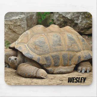Smiling Tortoise  Mouse Pad