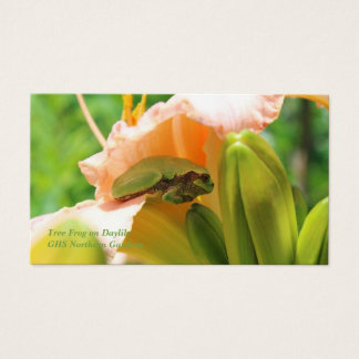 Smiling Tree Frog Pink Lily