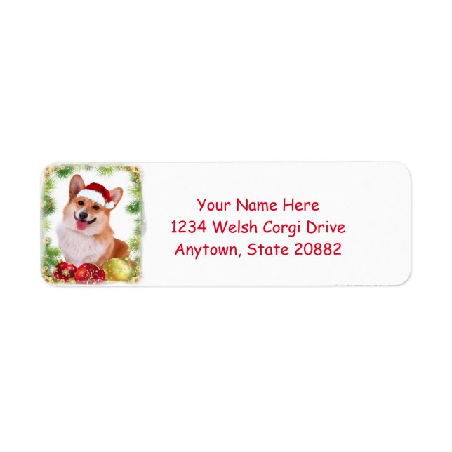 Smiling Welsh Corgi with Santa Hat (Front)
