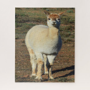 Smiling White Alpaca, Jigsaw Puzzle