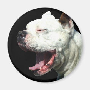 Smiling White Boxer dog magnet