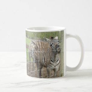Smiling Zebra Coffee Mug
