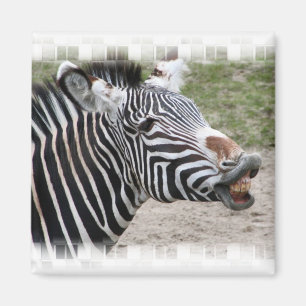 Smiling Zebra Magnet