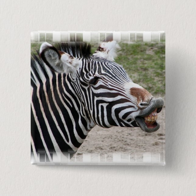 Smiling Zebra Pin (Front)