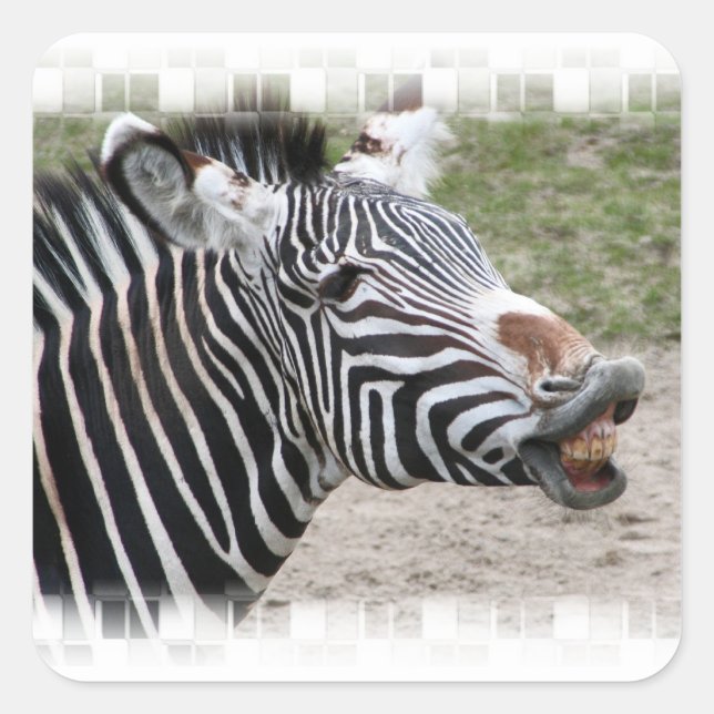 Smiling Zebra Stickers (Front)