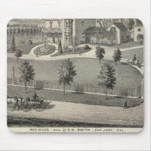 Smith, Evans residences Mouse Pad