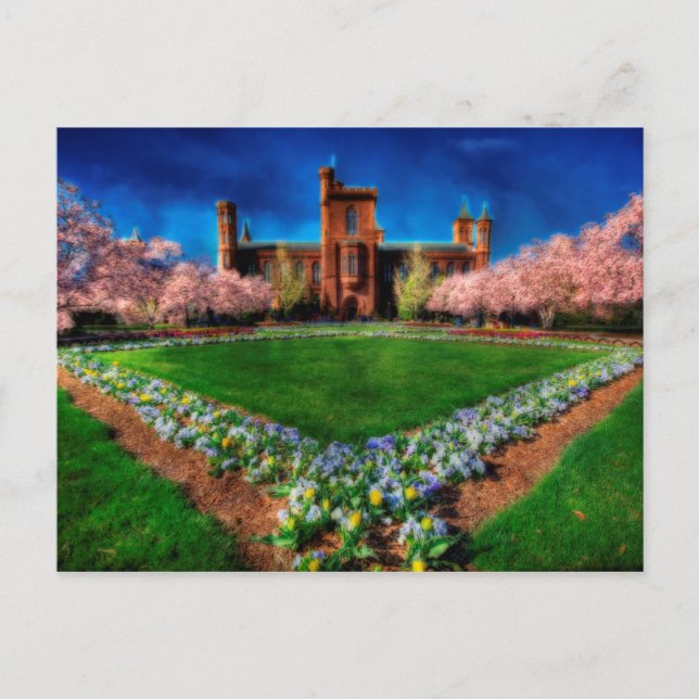 Smithsonian Castle Garden Cherry Blossoms Postcard (Front)