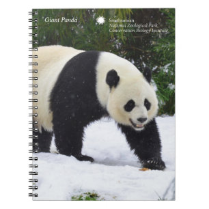 Smithsonian   Giant Pandas In The Snow Notebook