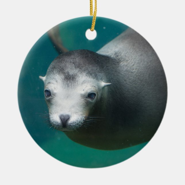 Smithsonian | Sea Lion Ceramic Ornament (Front)
