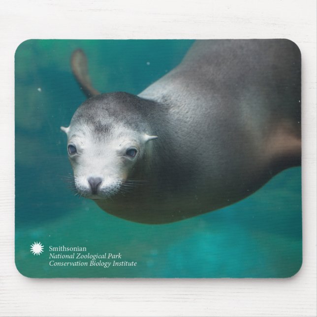 Smithsonian | Sea Lion Mouse Pad (Front)
