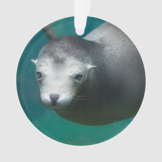 Smithsonian | Sea Lion Ornament (Front)