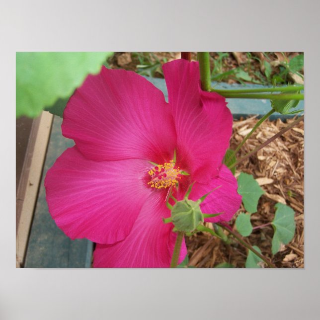 Smitty's Flower One Poster (Front)