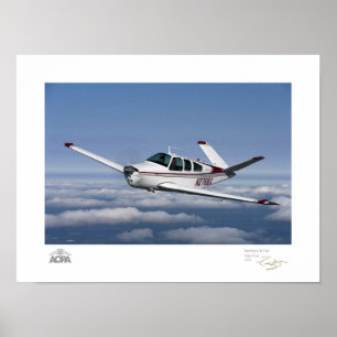 Smitty's V Tail Gallery Poster