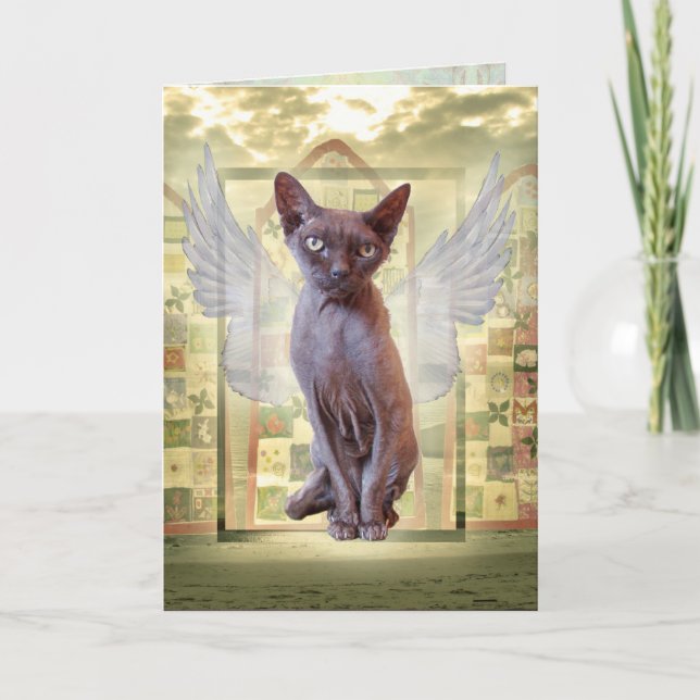 Smoke Devon Rex Sphynx Angel Cat Pet Sympathy Card (Front)
