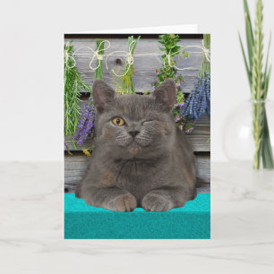 "Smokey" Greeting Card
