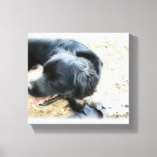 Smokey in Matte Canvas Print