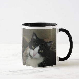 Smokey la tasse de chat