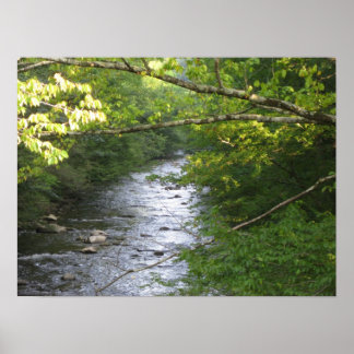 Smokey Mountains Poster