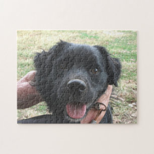 Smokey Poses For Camera Jigsaw Puzzle