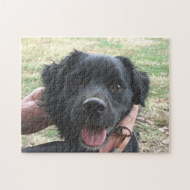 Smokey Poses For Camera Jigsaw Puzzle (Horizontal)