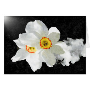 Smokey White Floral Cards