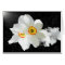 Smokey White Floral Cards