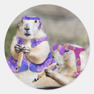 Smokin' Prairie Dog Hippies Classic Round Sticker