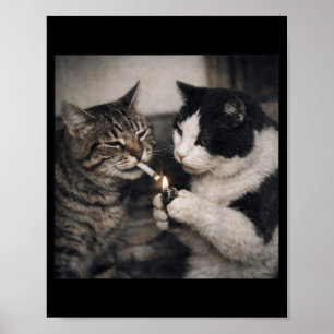 Smoking Cat Cigarette Kitten Funny Meme Stupid Poster