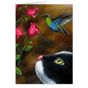 Smoking du chat 571 avec le colibri