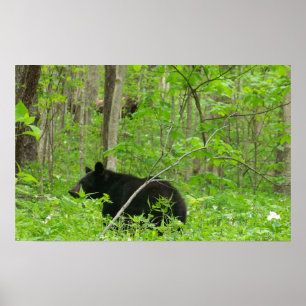 Smoky Bear Poster