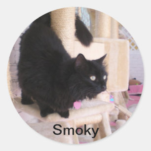 Smoky - Black Cats RULE! Sticker