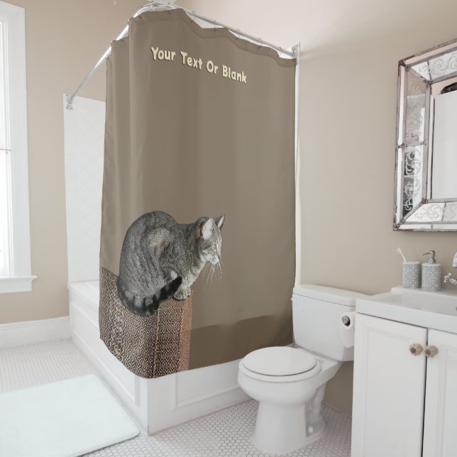 Smoky Grey Tabby Cat (In Situ)
