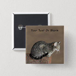 Smoky Grey Tabby Cat 2 Inch Square Button
