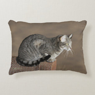 Smoky Grey Tabby Cat Accent Pillow