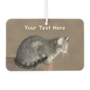 Smoky Grey Tabby Cat Air Freshener