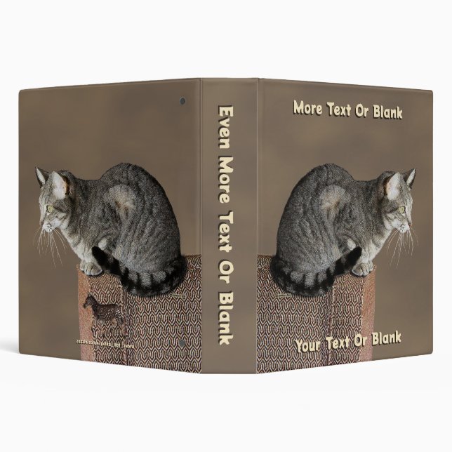 Smoky Grey Tabby Cat Binder (Background)