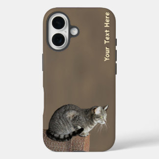 Smoky Grey Tabby Cat iPhone 16 Case
