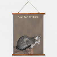Smoky Grey Tabby Cat