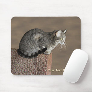 Smoky Grey Tabby Cat Mouse Pad