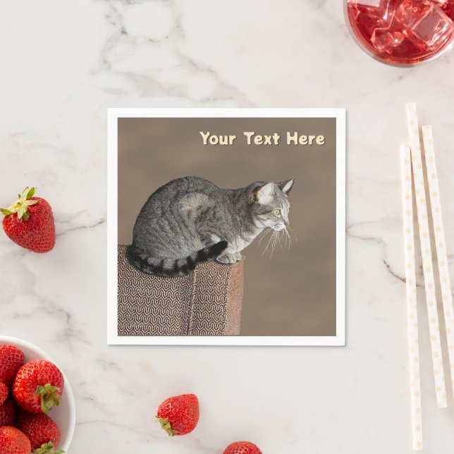 Smoky Grey Tabby Cat Napkin (Insitu)