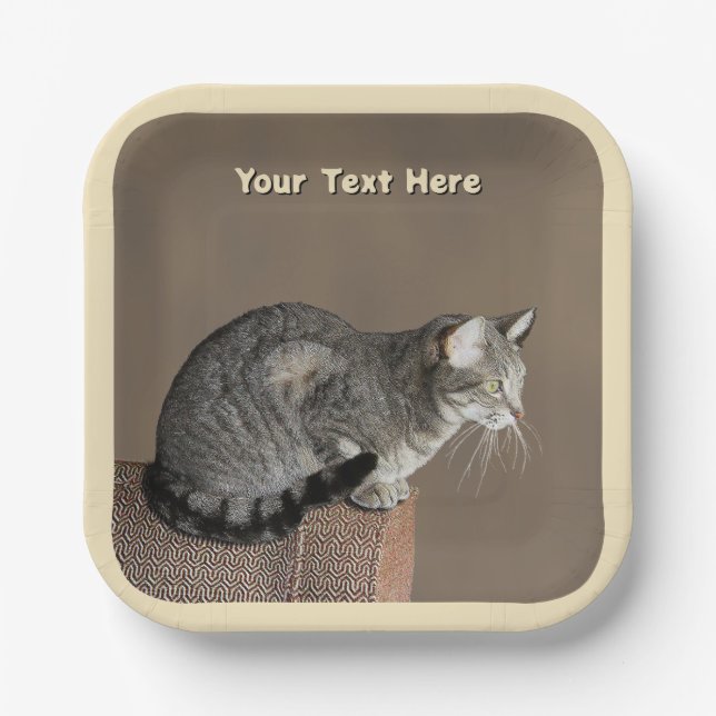 Smoky Grey Tabby Cat Paper Plate (Front)