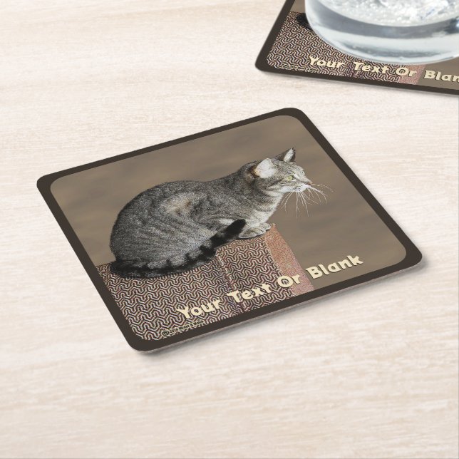 Smoky Grey Tabby Cat Square Paper Coaster (Angled)