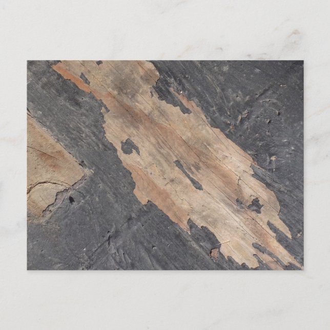 Smoky Grey Wood Postcard (Front)