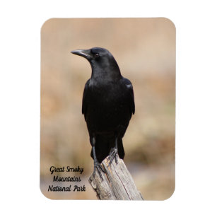 Smoky Mountain Cades Cove Black Bird Magnet