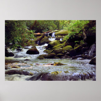 Smoky Mountain Stream  -  GSMNP Poster