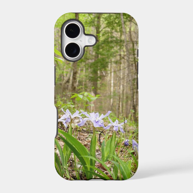 Smoky Mountain Trail in Spring (Back)