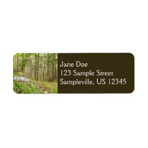Smoky Mountain Trail in Spring