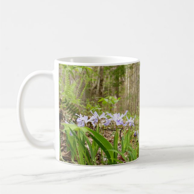 Smoky Mountain Trail in Spring Coffee Mug (Left)