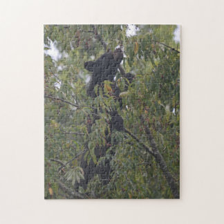 Smoky Mountains Bear Jigsaw Puzzle