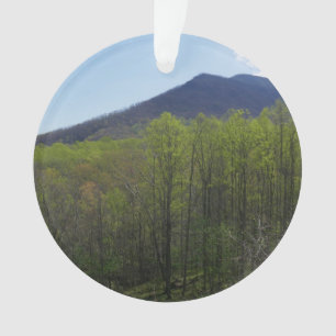 Smoky Mountains in Spring Landscape Ornament